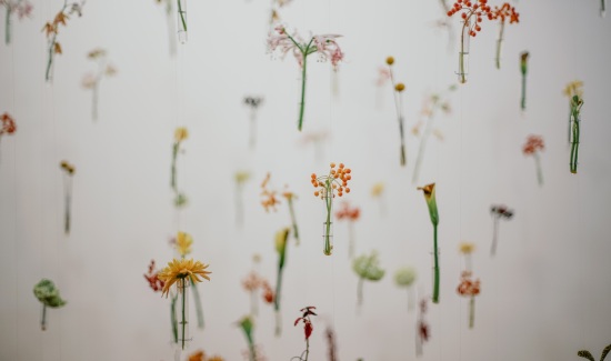 Las Flores de Bach