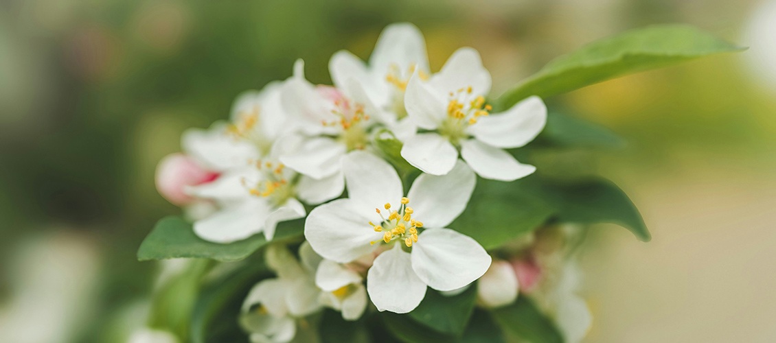 Personas altamente sensibles