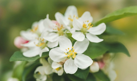 Personas altamente sensibles